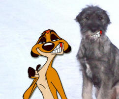 Timon och Norton